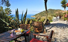 Hotel Villa Belvedere